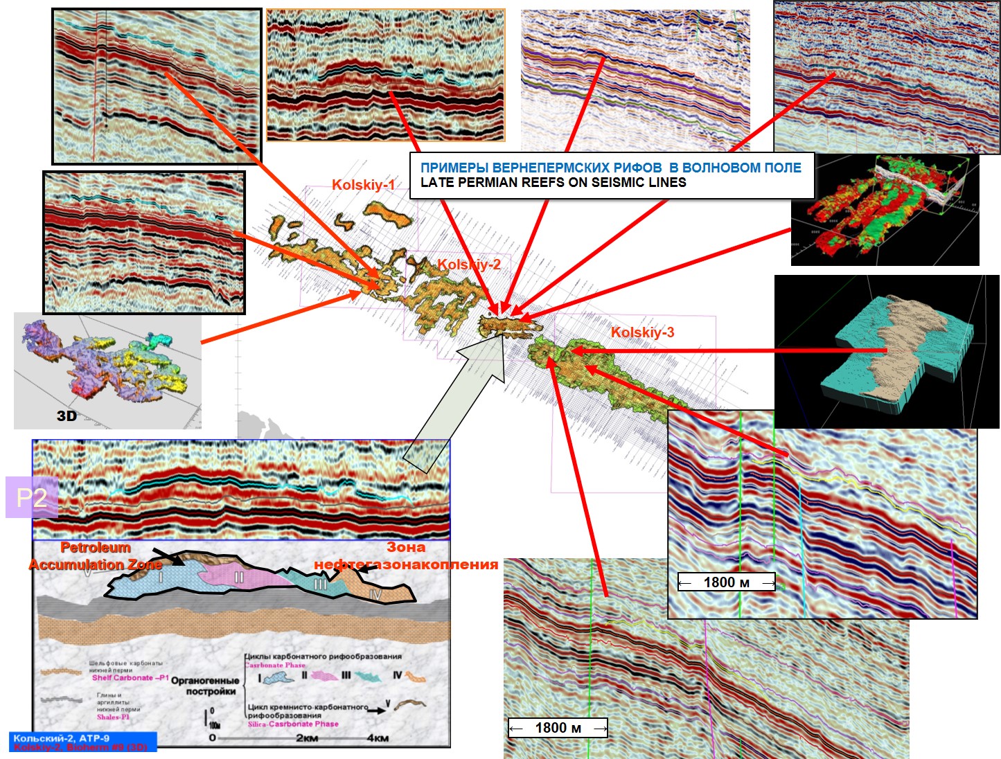 The nature of the display on the seismic time section of the Upper Permian reef structures 